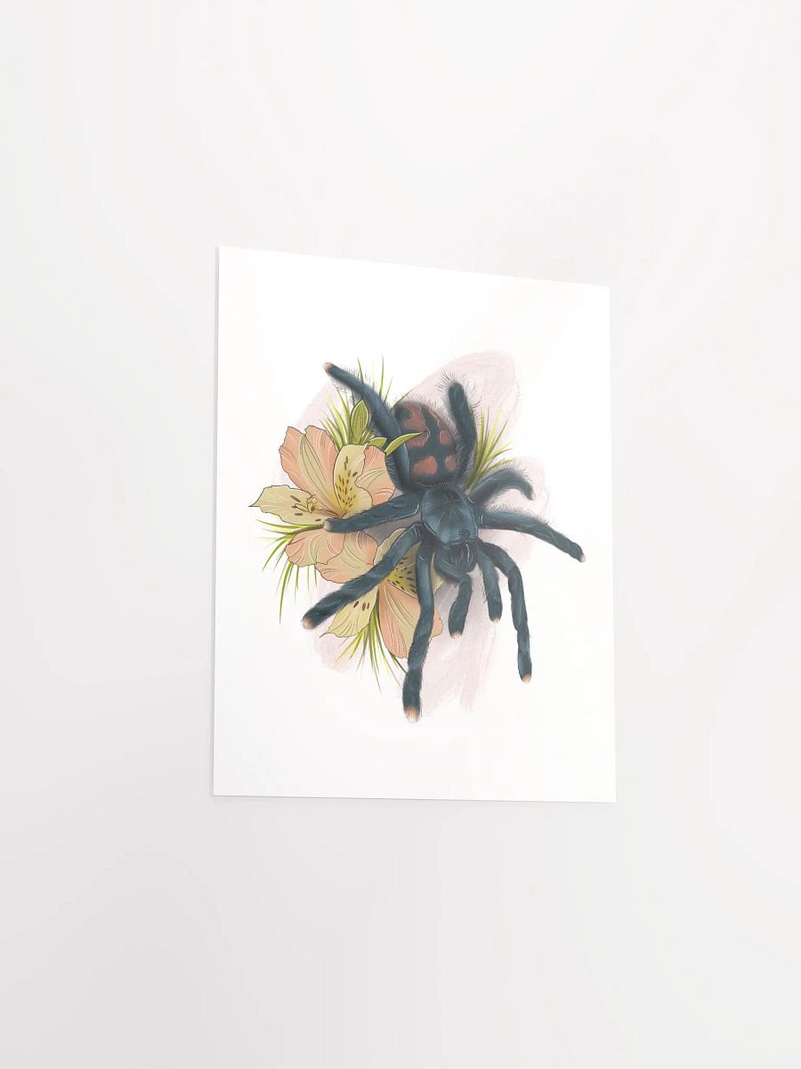 Avicularia avicularia product image (6)