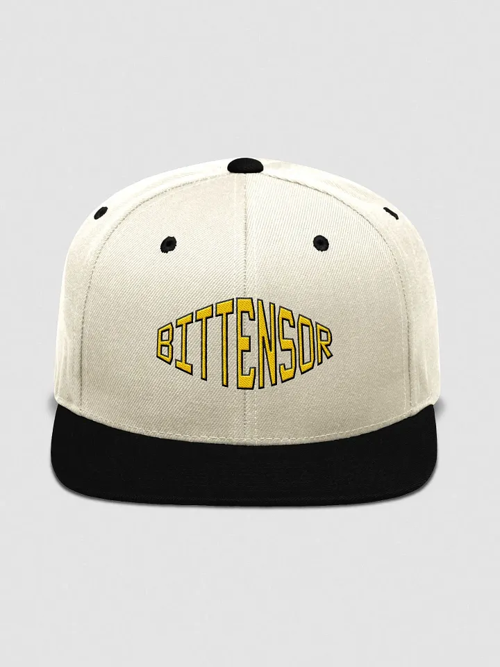 (5/20) Bittensor Cap product image (1)