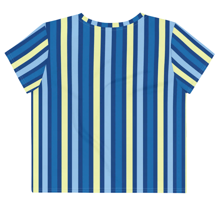 Blue Stripe Crop Top product image (2)