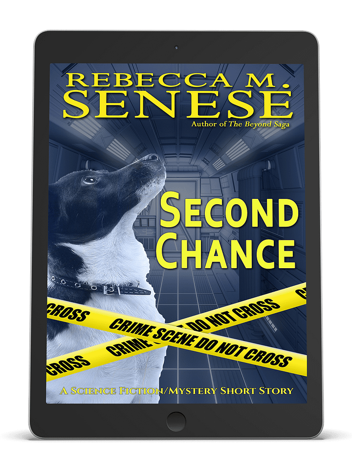 Second Chance product image (1)