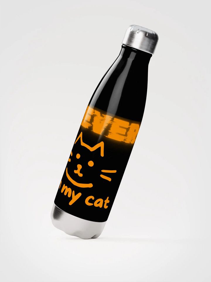 PixieBottle Pixiecat Brian (Orange) - Limited Edition product image (2)