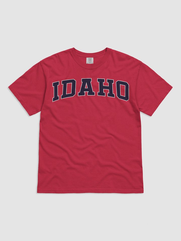 Idaho Vintage Stylish Unisex Garment-Dyed T-shirt product image (2)