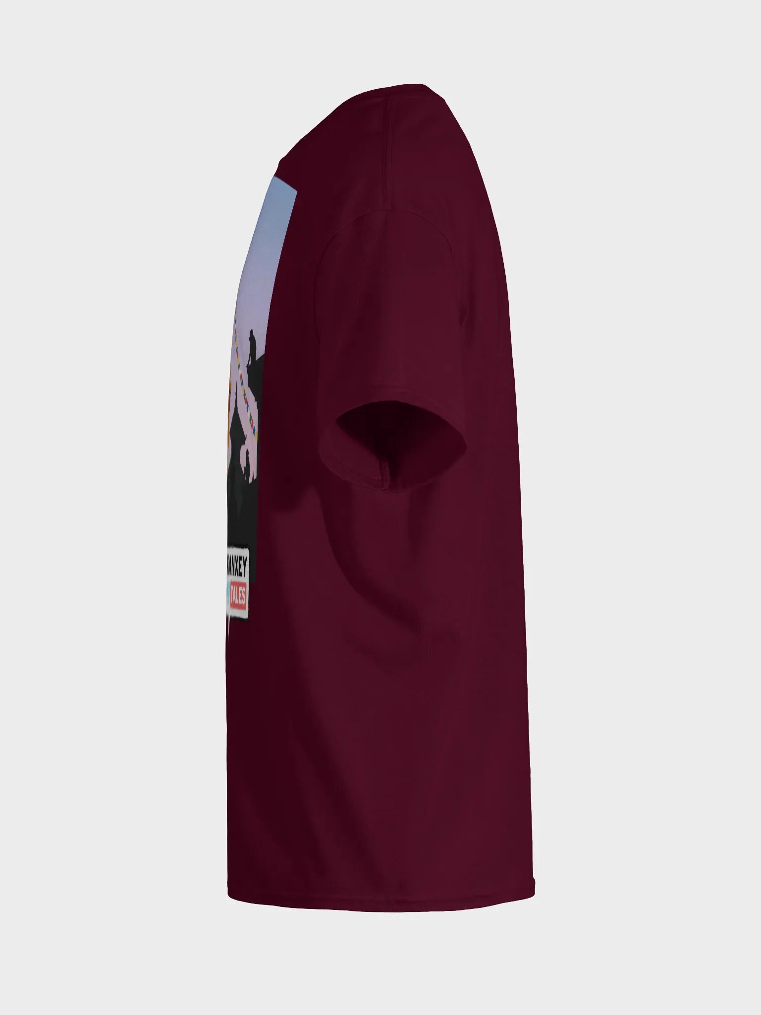 Swayambhu Illustration T-Shirt product image (74)