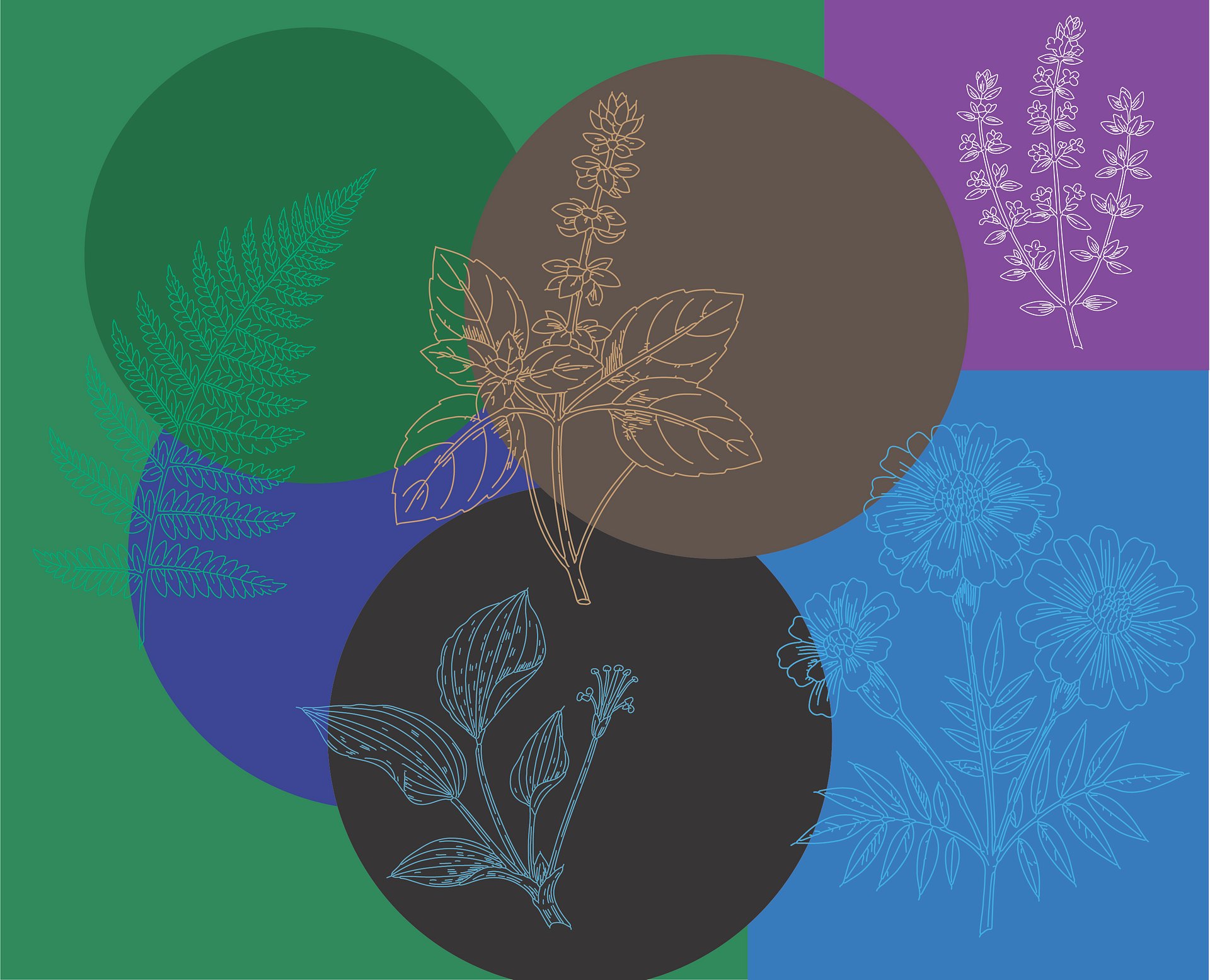 Botanical Line Art Bundle – Floral SVG Art Collection with Flowers, Leaves, Plants, and More product image (5)