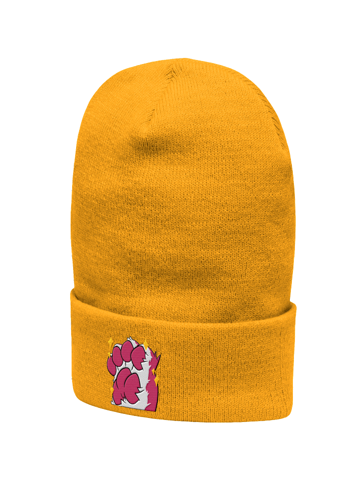 Steenky Beans Beanie product image (7)