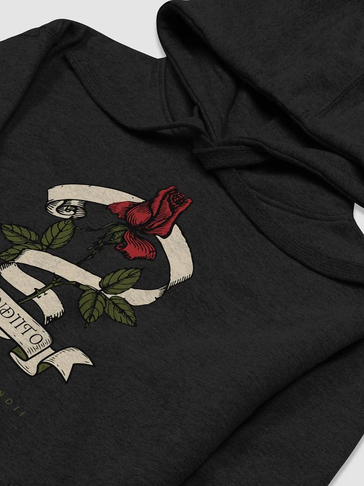 Brandiito Unisex Hoodie product image (2)