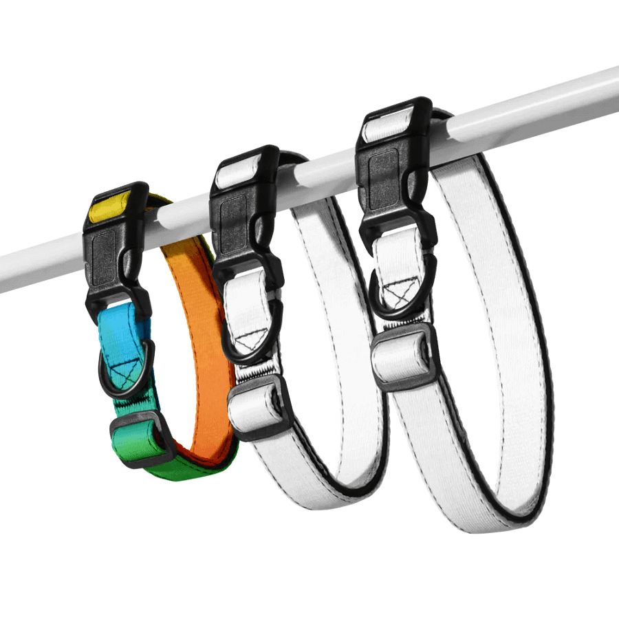 Pride Dog* Collar product image (5)