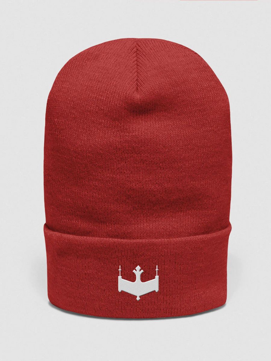 Logo Beanie product image (6)