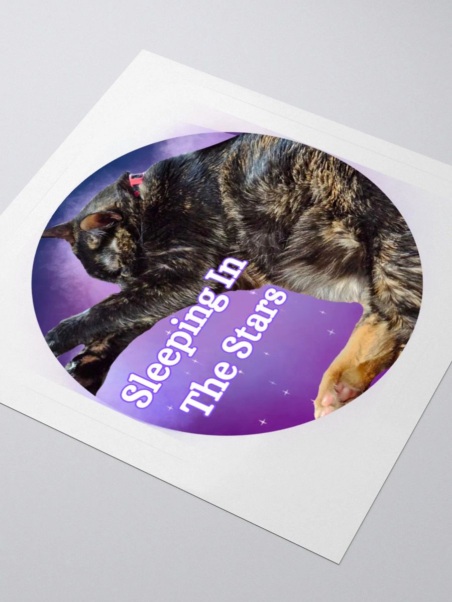 Sleeping In the Stars Obi Sticker product image (7)