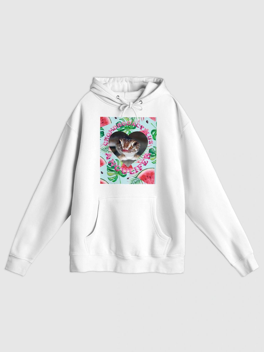 Ground Gecko Summer 20 Hoodie product image (1)
