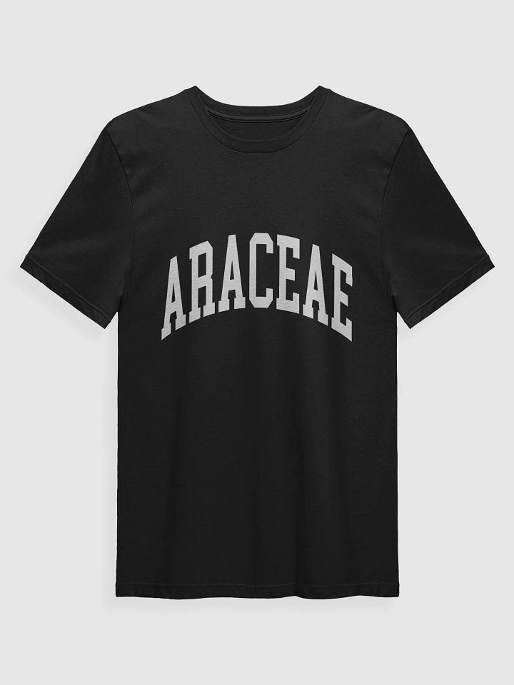 ARACEAE varsity supersoft unisex tee product image (1)