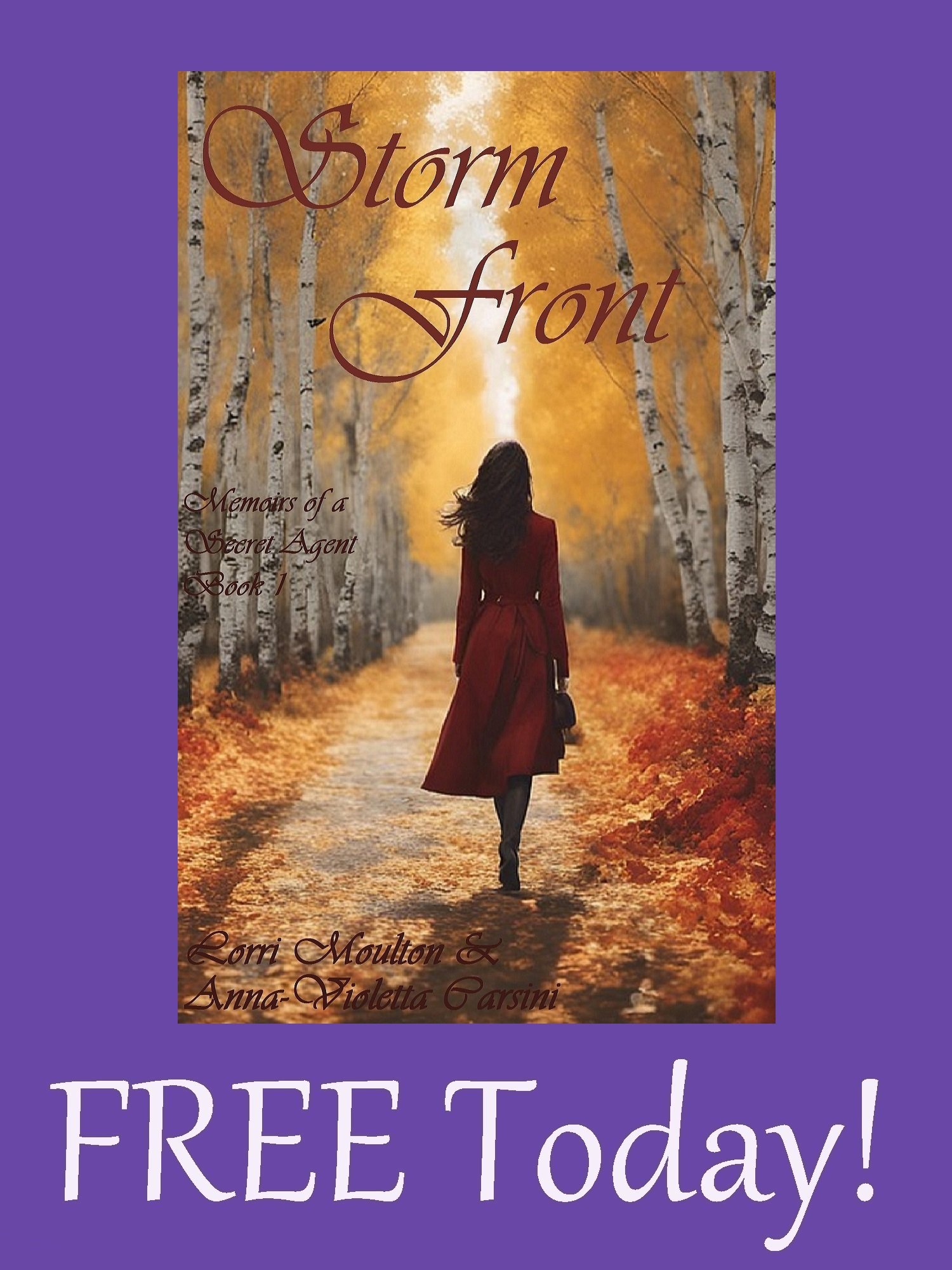 Storm Front: Memoirs of a Secret Agent Book 1 EBOOK - FREE Today! product image (1)