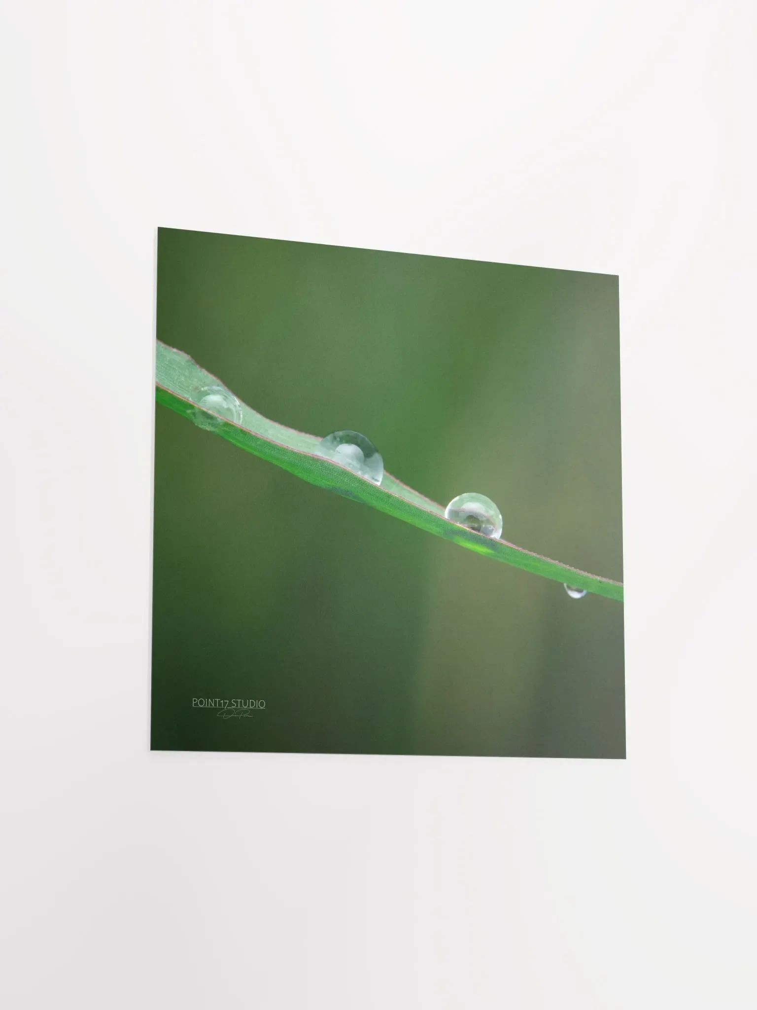 Dew Gems #5 - Print product image (7)