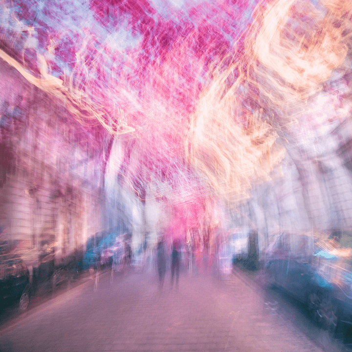 Pink Sky - Cherry Blossoms - Print product image (1)