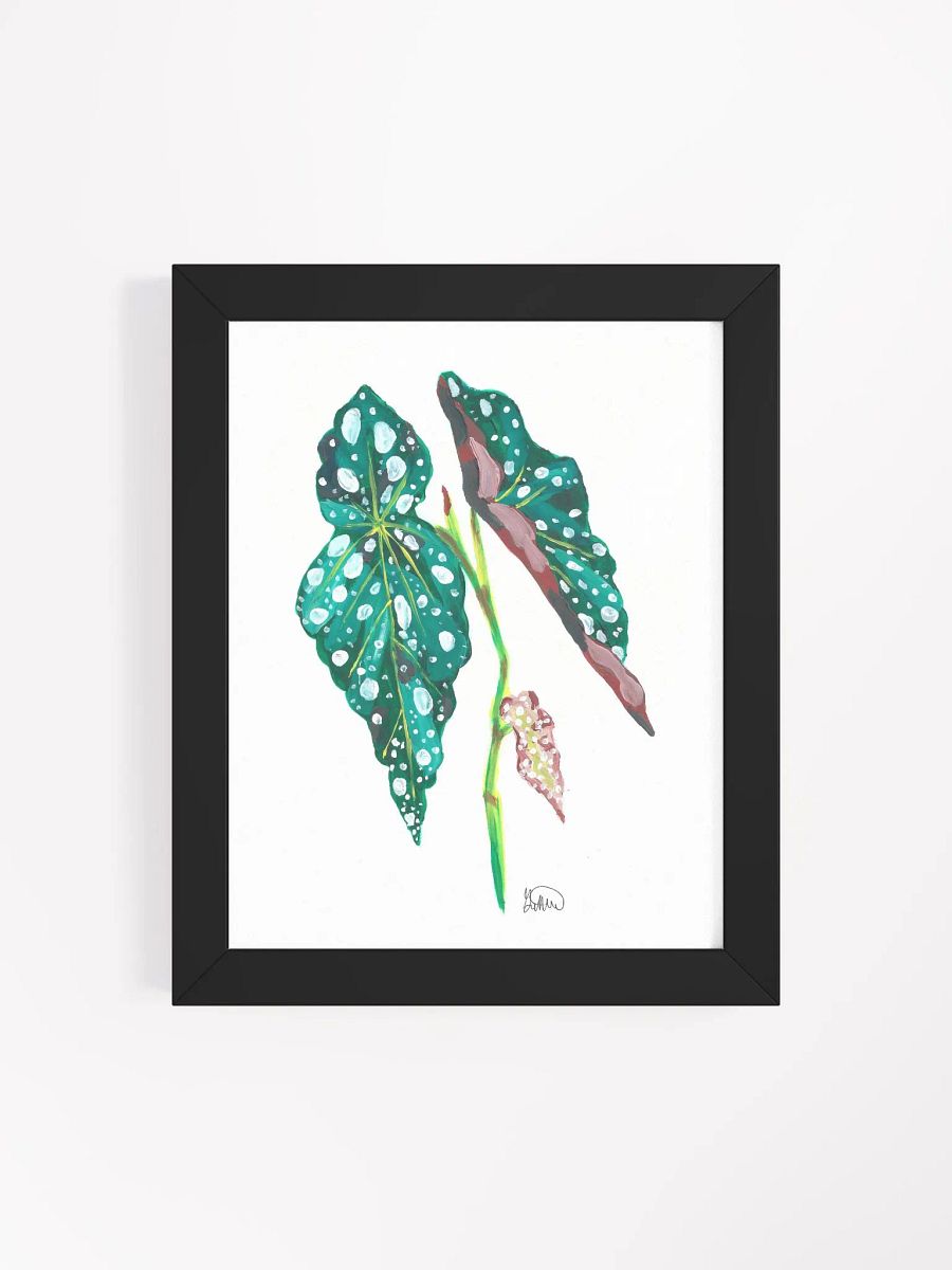 Begonia Frame product image (111)