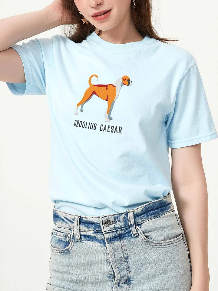 Droolius Caesar T-Shirt(Embroidered) of a Boxer(Tan & White) product image (2)