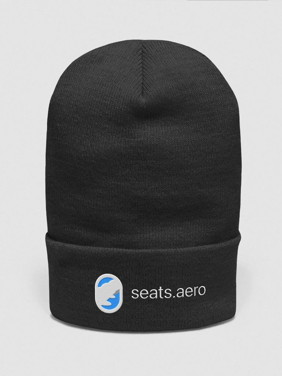 Beanie.aero product image (1)