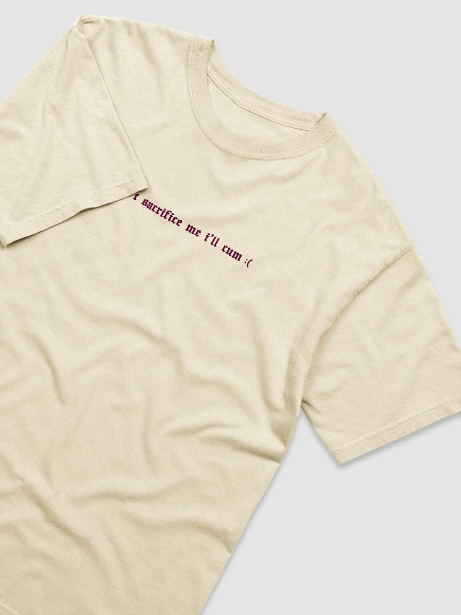 'Don't Sacrifice Me I'll Cum :(' T shirt (light colours / 2 Colours Available) product image (3)