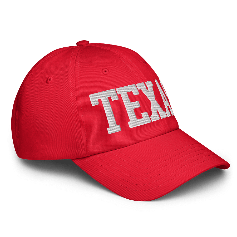 Texas State Embroidered Hat by Under Armour product image (15)