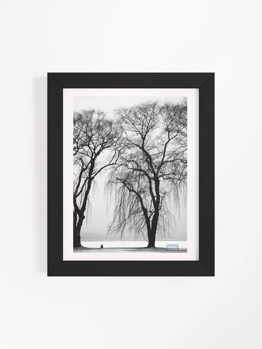 SOLACE IN THE MIST product image (67)