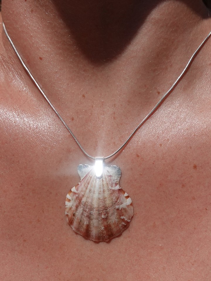 Mermaid Wish Necklace ~ 2 product image (1)