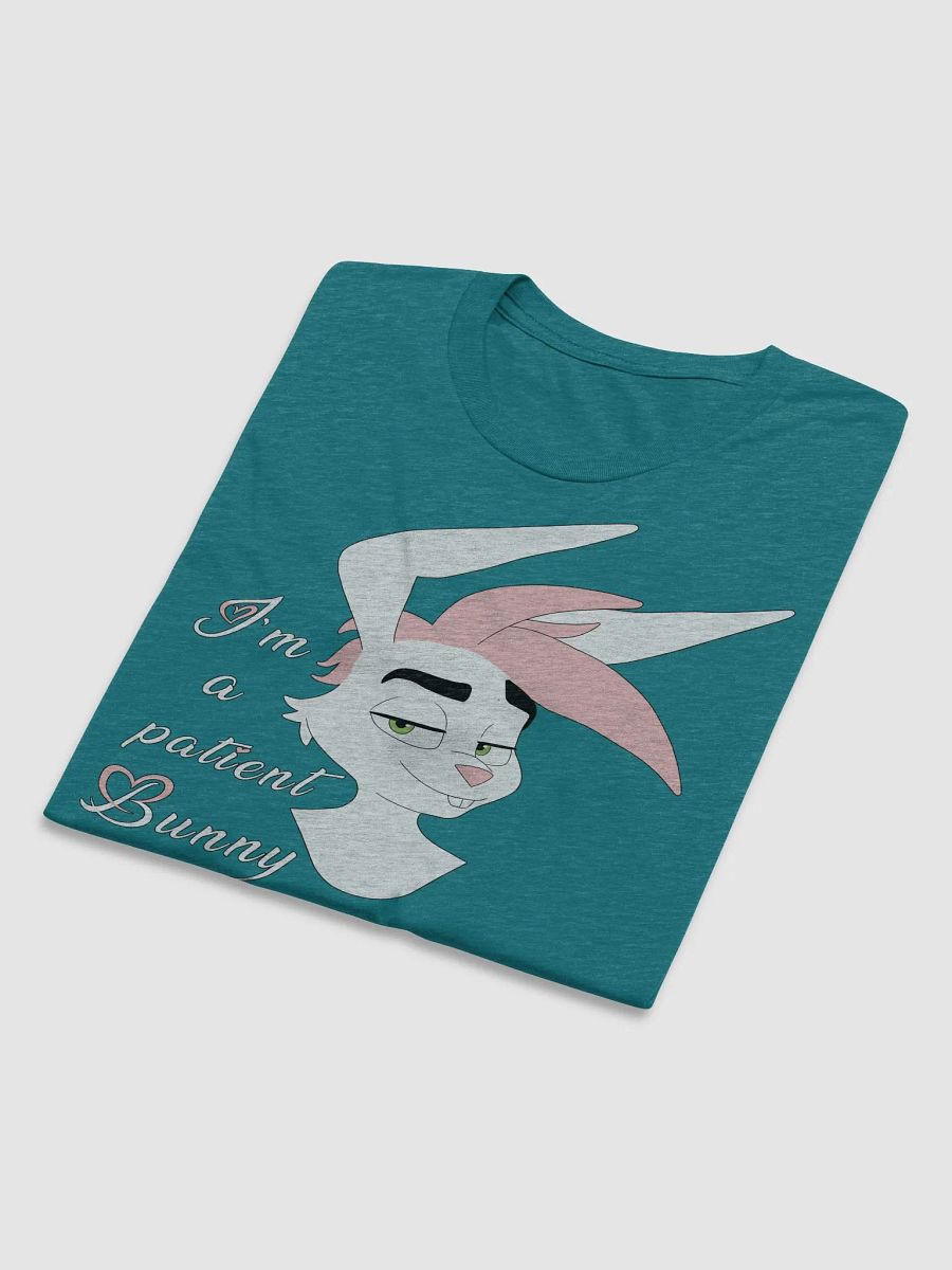 Oliver | Triblend T-shirt | Quote #1 product image (4)