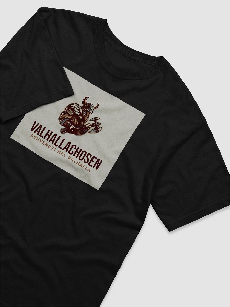 Valhalla Warrior Heavyweight Tee product image (13)