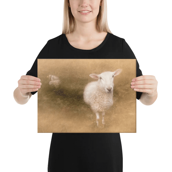 Pastoral Sheep Canvas product image (2)