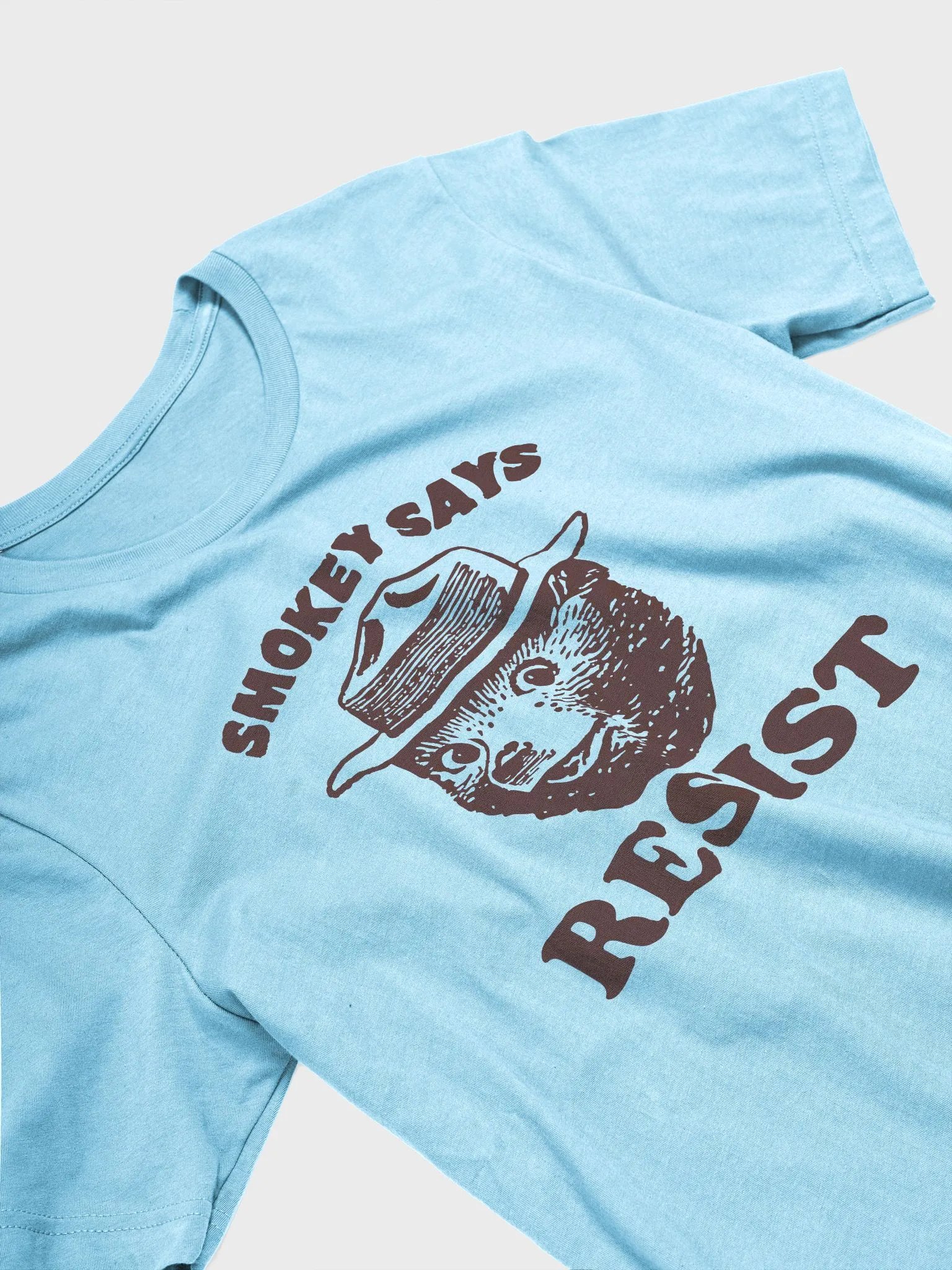 Smokey Says RESIST! Comfort Fitted T-Shirt Alt National Parks Wear Resistance Rangers product image (33)