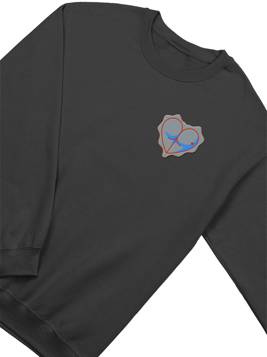 LoveMORE Sweatshirt product image (19)