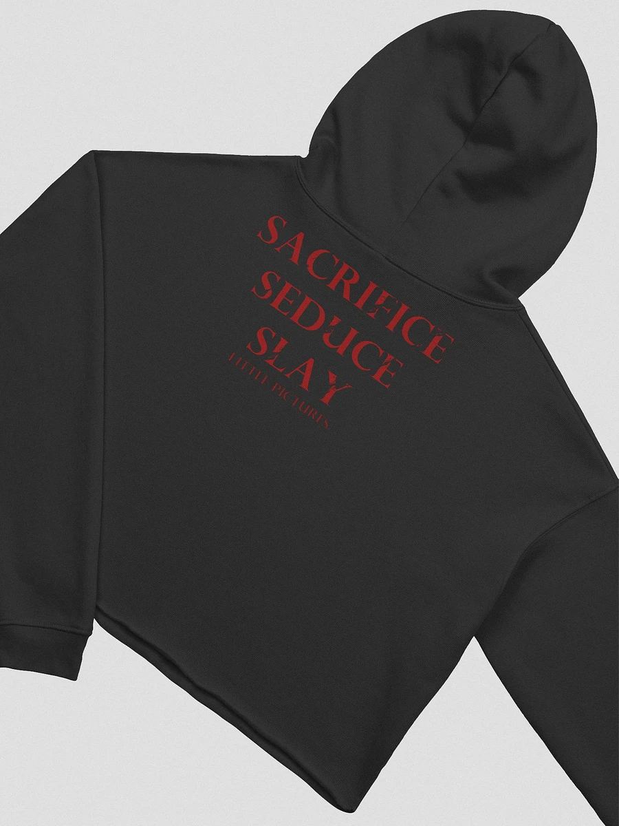 Spooky Sacrifice Cropped Hoodie [Front & Back Designs] product image (16)