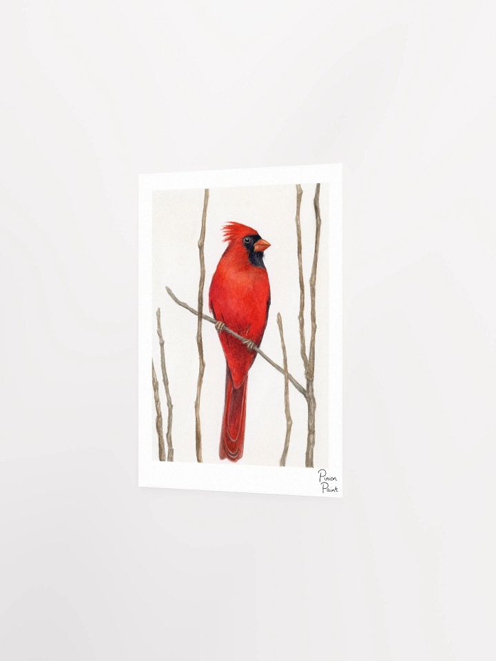 Cardinal print product image (3)