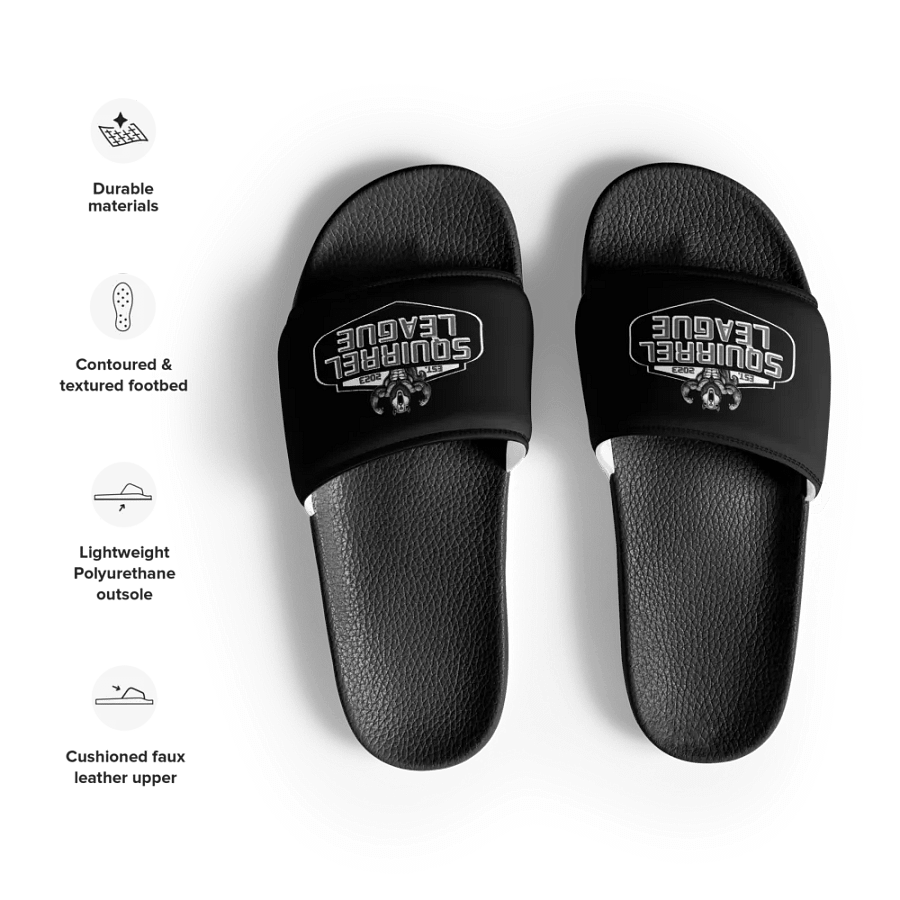 Squirrel League Slides product image (8)