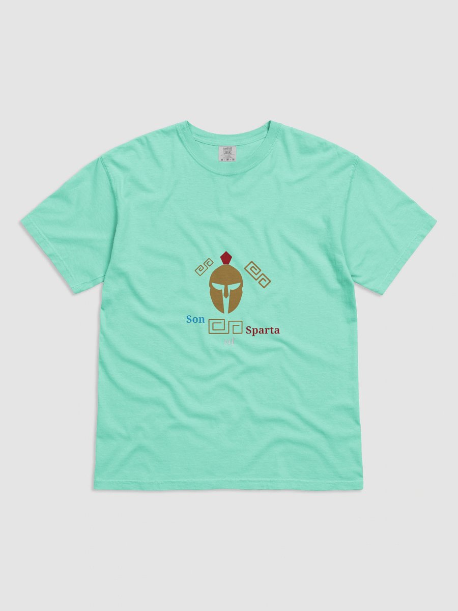 Spartan Crest Comfort Tee product image (1)