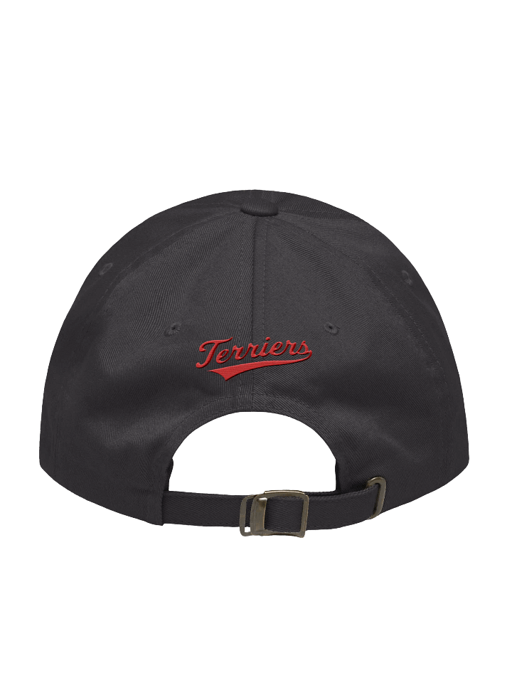 Cambridge Terriers Dad Hat product image (8)