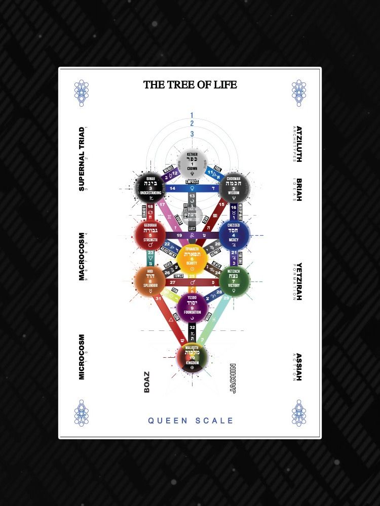 The Tree of Life Digital Print Queen Scale White product image (1)