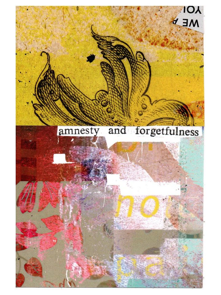 amnesty and forgetfulness product image (1)