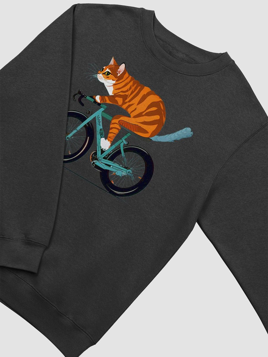 Whimsical Tabby Cat Bicycle Ride Sweatshirt product image (14)