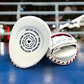 Pro Boxing Mitts 2025 Model+ Free Wraps & Bag product image (1)