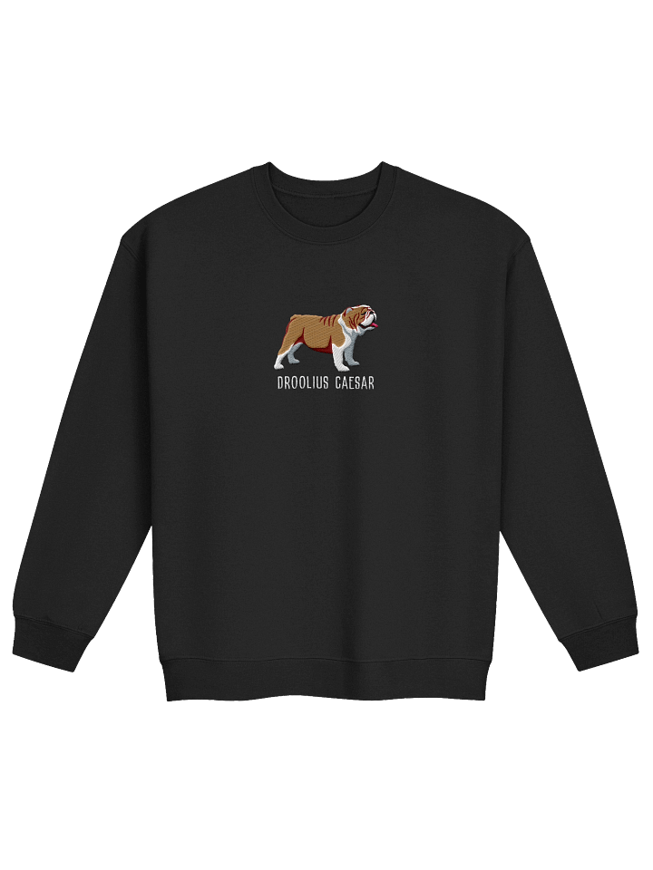 Droolius Caesar Sweatshirt (Embroidered) of an English Bulldog(Tan & White) product image (6)