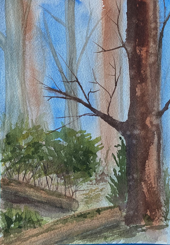 Original watercolor painting: Mountain Laurel Trail - Totier Creek product image (1)