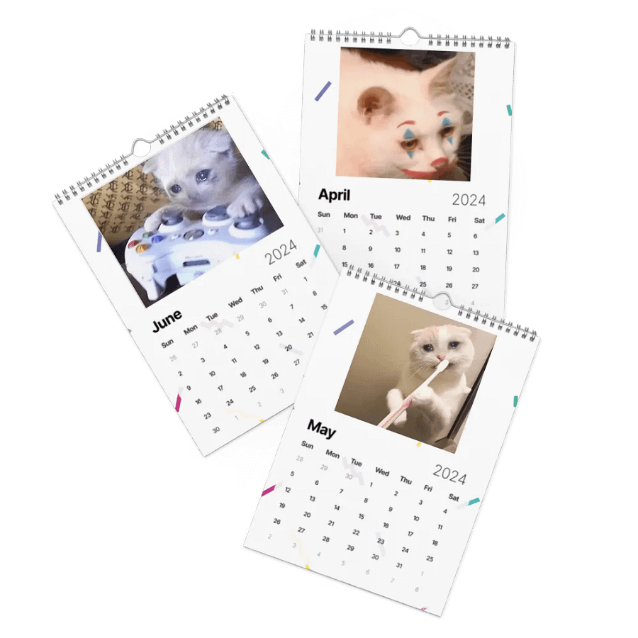 Wall Calendar (2024): Meme Cats product image (3)