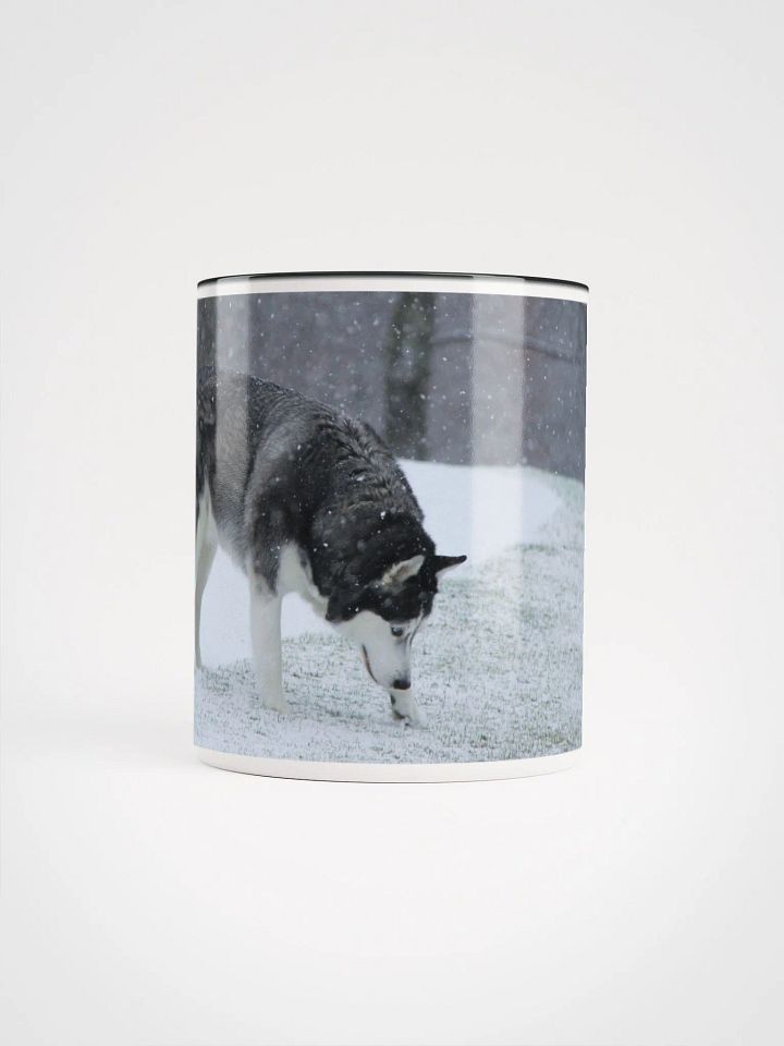 Blue Eye Siberian Husky in the Snow with Trees in the background product image (1)