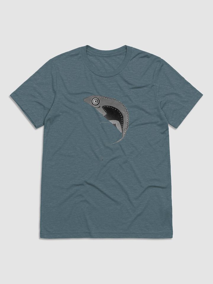 Chameleon Dreams - Tri-Blend Tee product image (6)