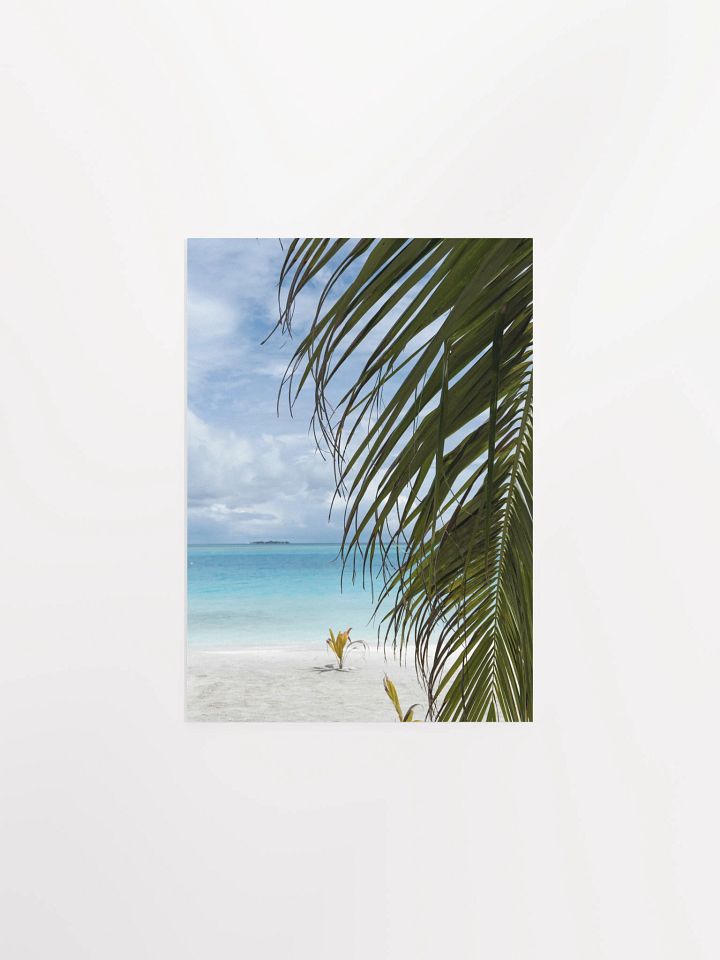 Maldives palm - Enhanced Matte Paper Poster product image (1)