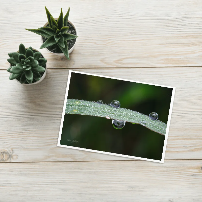 Laughing At Gravity Greeting Card product image (1)