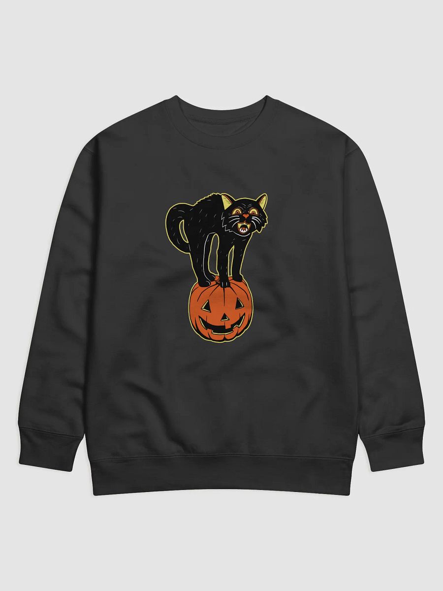 Retro Black Cat and Pumpkin product image (1)