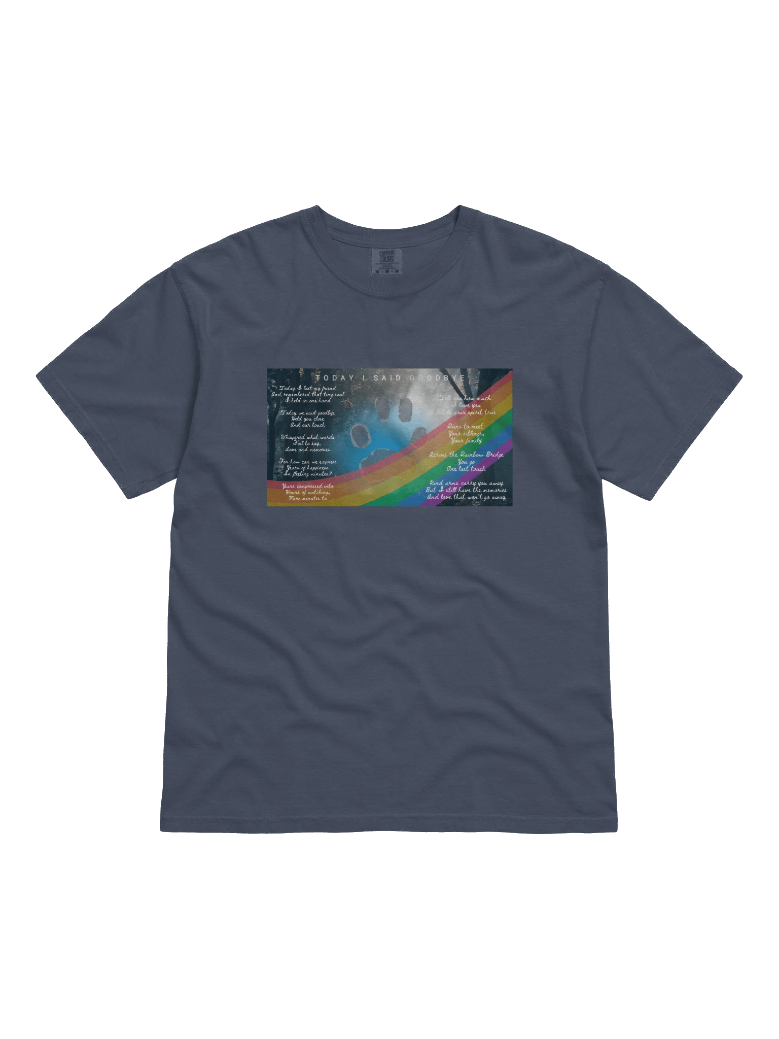 Today I Said Goodbye product image (1)