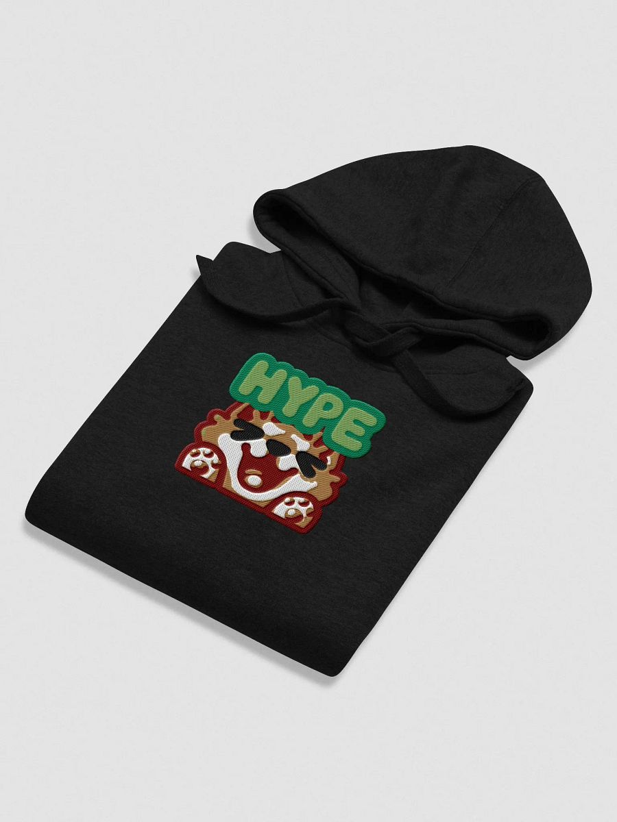 Embroidered Hype Hoodie product image (4)