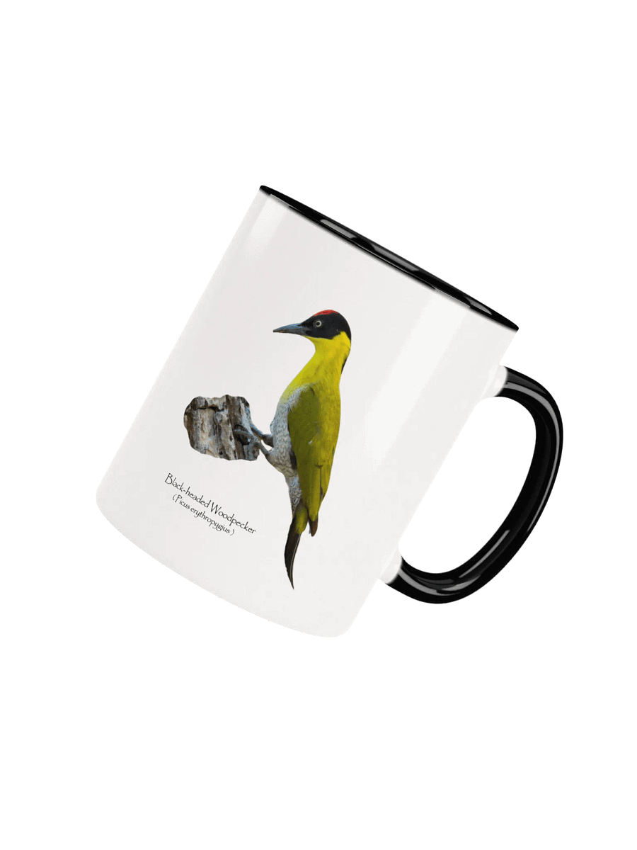 Black-headed Woodpecker mug product image (40)